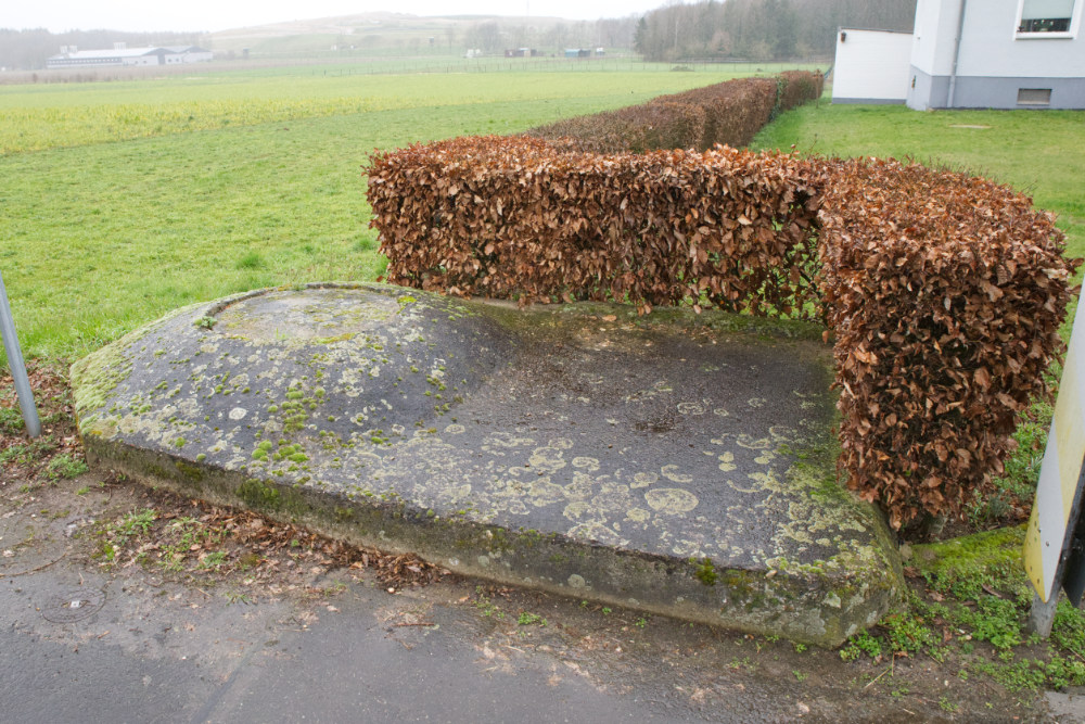 Ringstand 330 Rosenthal-Wassenberg #3