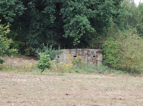 Pillbox FW3/24 Nettlestead Green