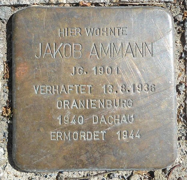 Stolperstein Spieser Landstrae 2