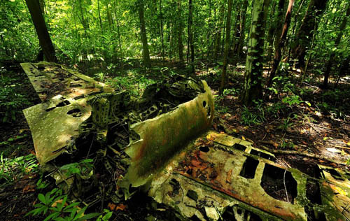 Remains Mitsubishi A6M Zero Fighter Ballalea