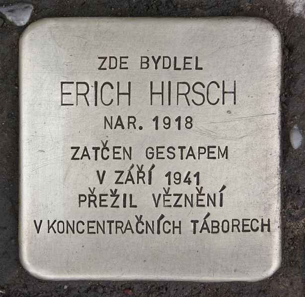 Stolpersteine B. Němcové 146/1 #1