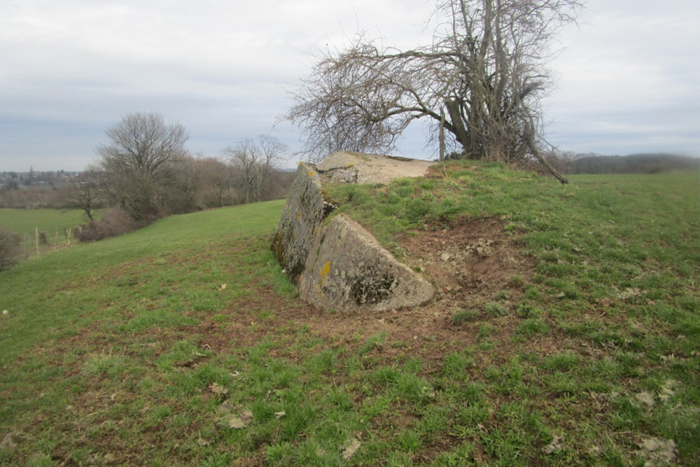 Westwall - Bunker Remains #2