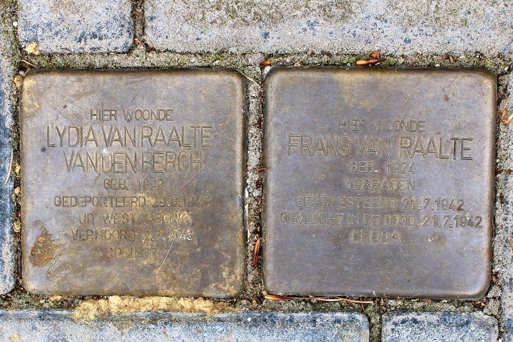 Stolpersteine Van Voorschotenlaan 20 #1