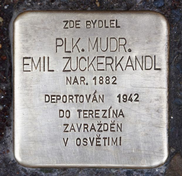 Stolpersteine Komenskho 896/8 #2