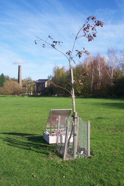 Herdenkingsbomen Tonge Mill Park