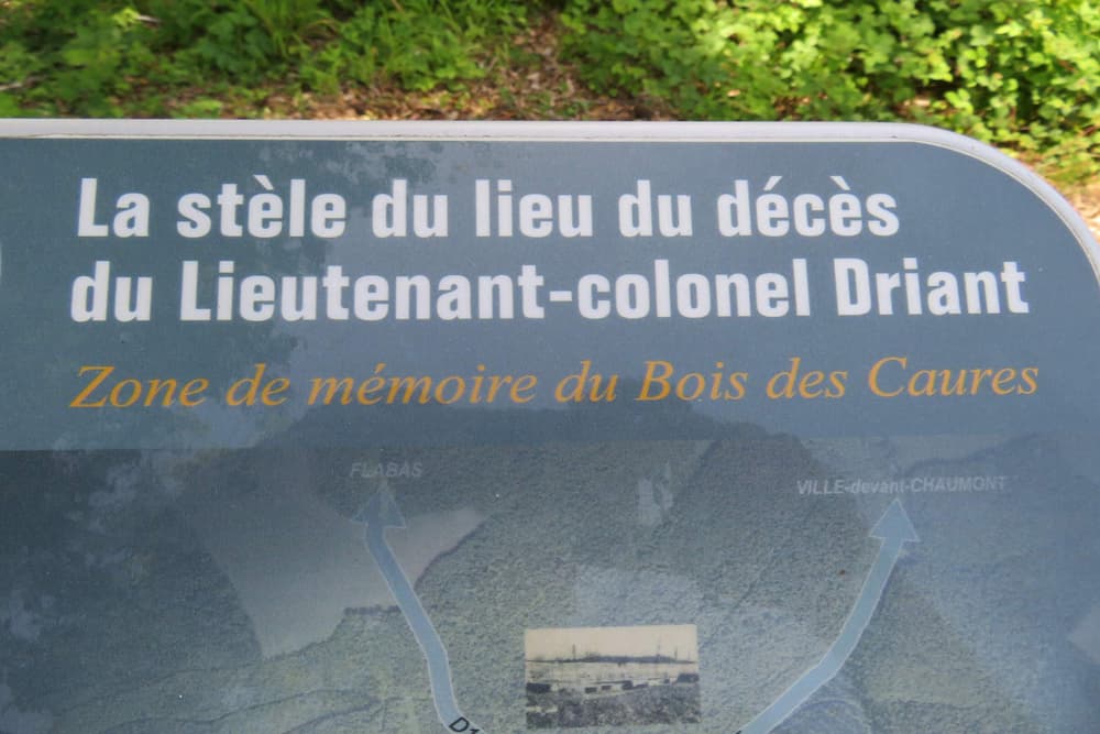 Stle du Colonel Driant Beaumont-en-Verdunois #1