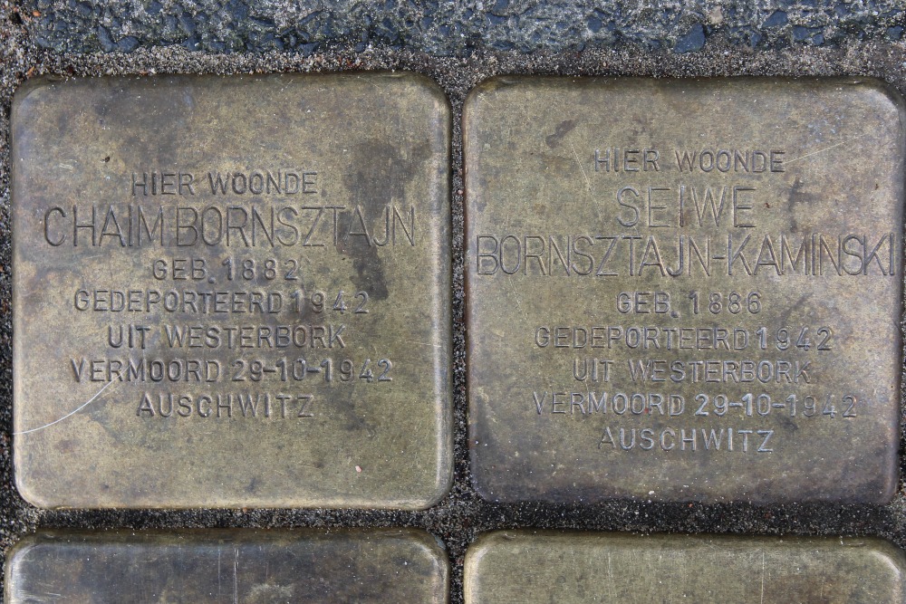 Stumbling Stones Van de Wateringelaan 231 #2