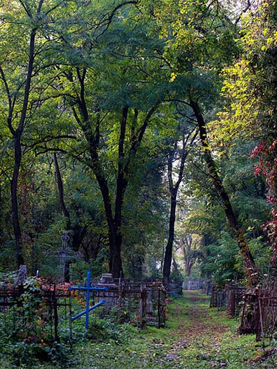 Vsesvyatskoye Cemetery #1