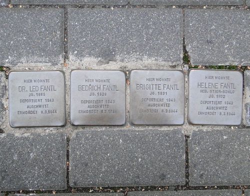 Stolpersteine Georg-Nerlich-Strae 2 #1