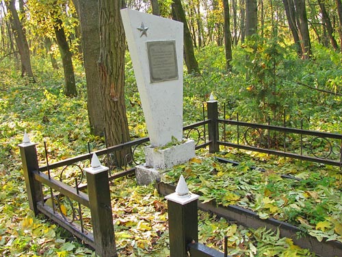 Collective Grave Soviet Soldiers Yagotin #1