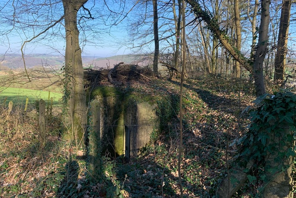 Bunker BV 1 Jevoumont #2