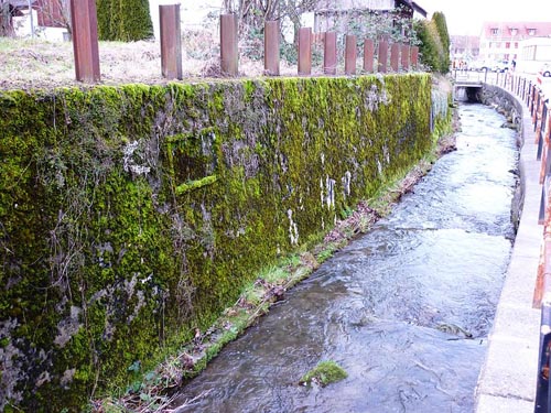 Limmatlinie - Tankversperring Oberurdorf