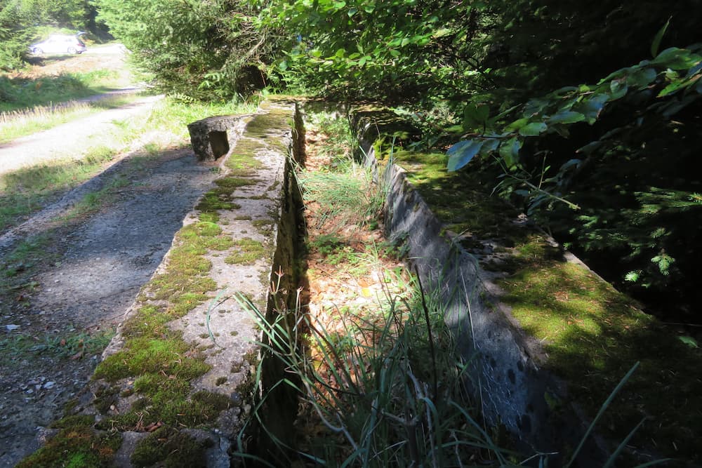 Drinking Trough Col du Donon #4