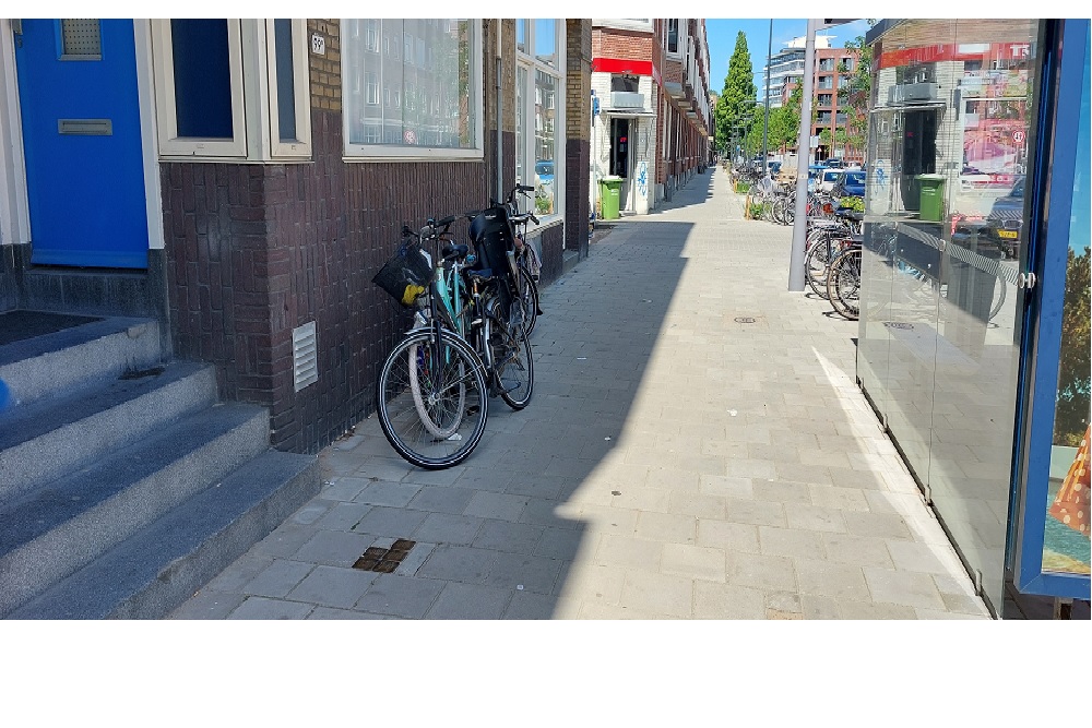 Stolpersteine Professor Kamerling Onneslaan 99a #2