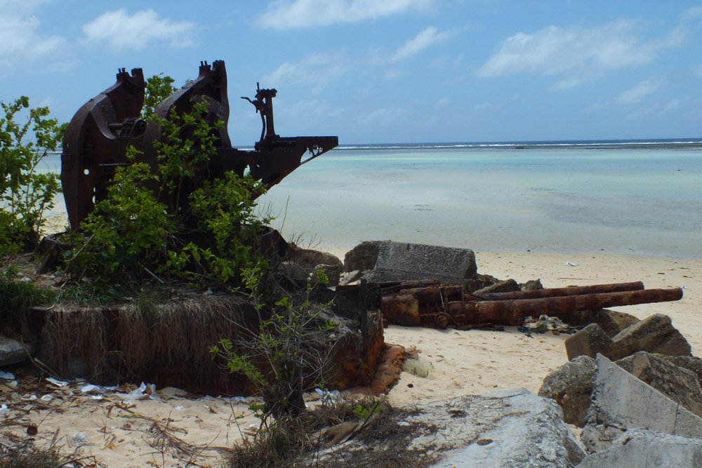 Remains Japanese Gun