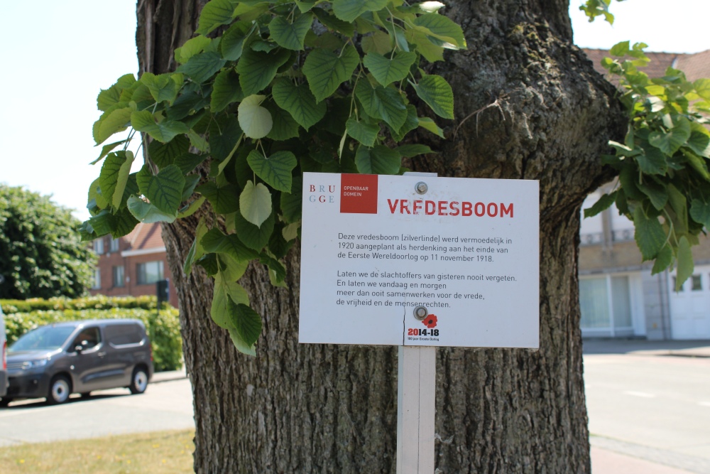 Vredesboom Sint-Michiels #2