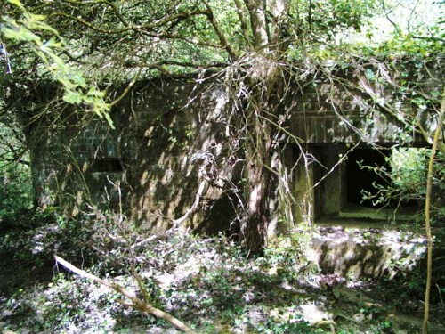 Pillbox FW3/28 Broadbridge Heath