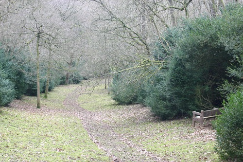 Oorlogsgraf van het Gemenebest Clifferdine Wood #1