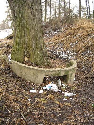 Remains Russian Pillbox Z-3 (St. Petersburg)