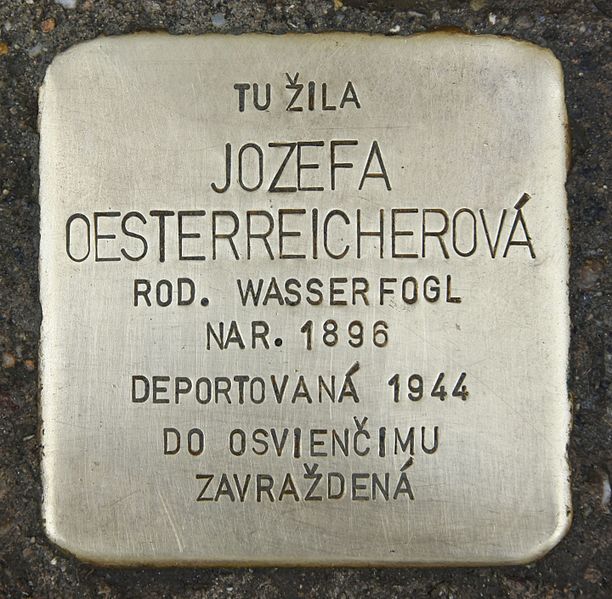 Stolpersteine Tolstho 851/9 #2