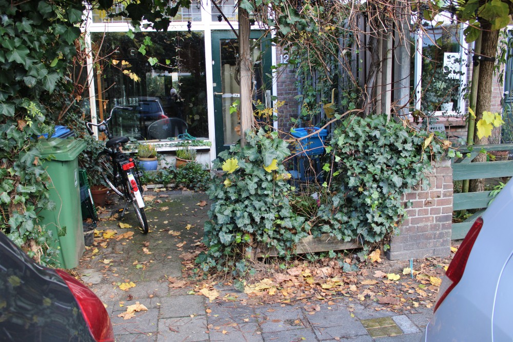 Stumbling Stones Van Naeltwijckstraat 121 #4