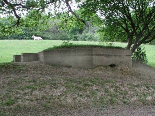 Pillbox FW3/22 Mannings Heath