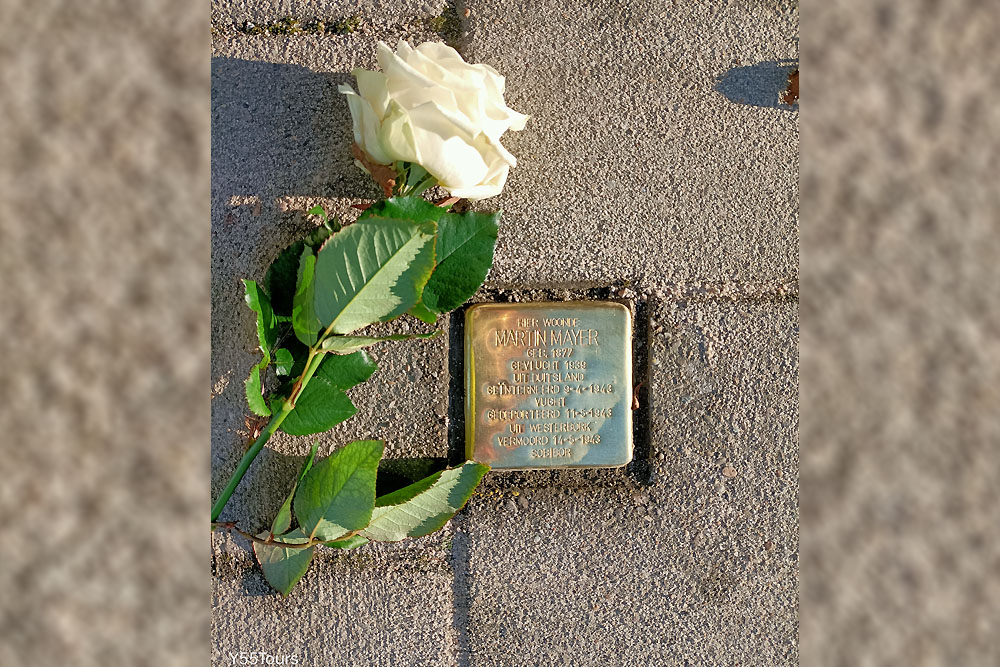 Stumbling Stone Van Laerstraat 19 #1