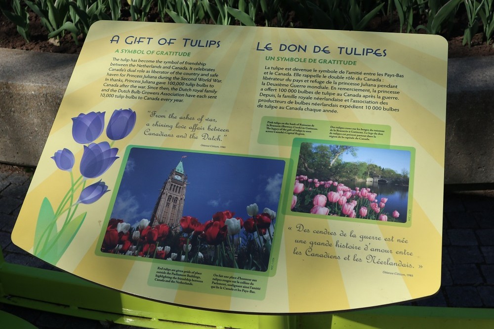 Canadian Tulip Festival