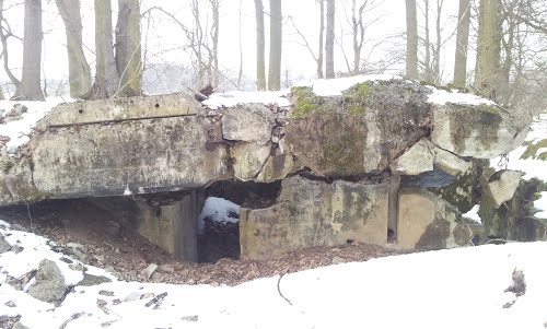 Oderstellung - Remains Casemate