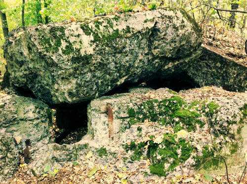 Stalin Line - Remains Casemate No. 427 #1