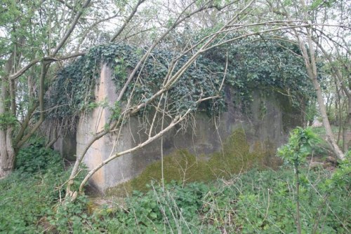 Pillbox FW3/28A Fyfield #2