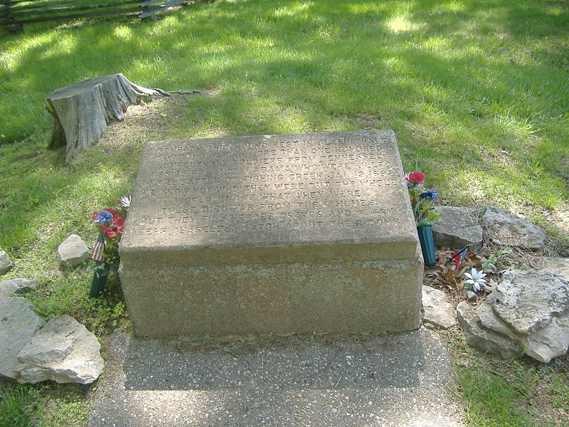 Confederate Mass Grave Somerset #2