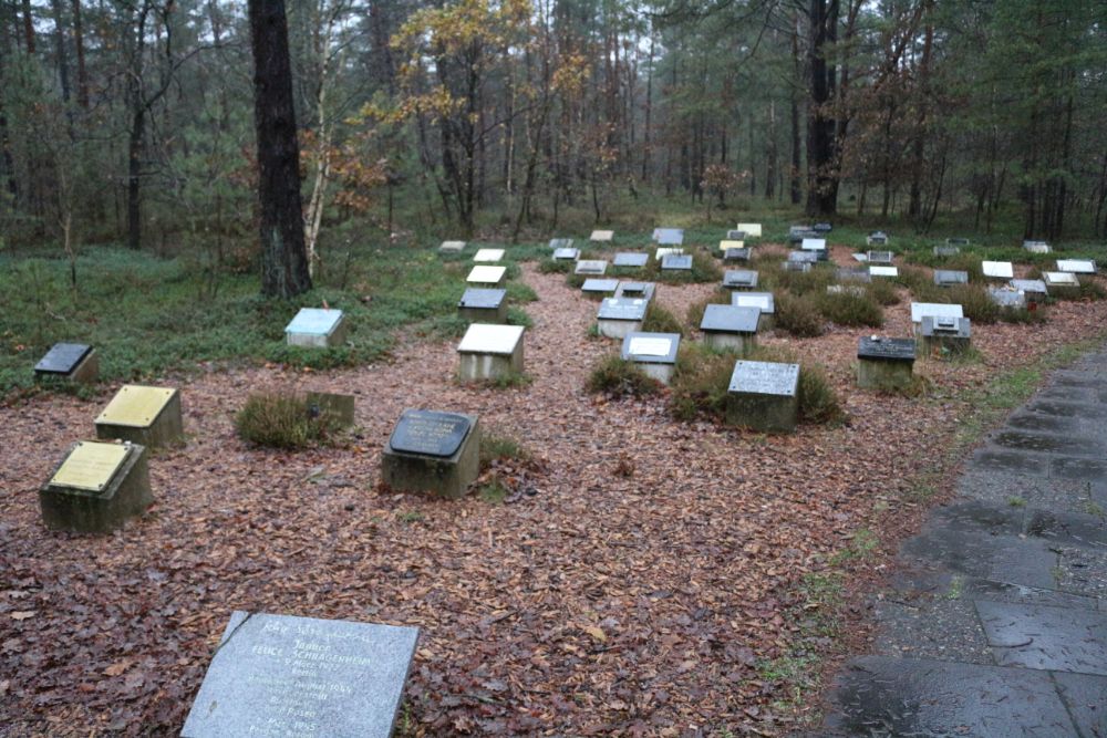 Concentration Camp Bergen-Belsen #4