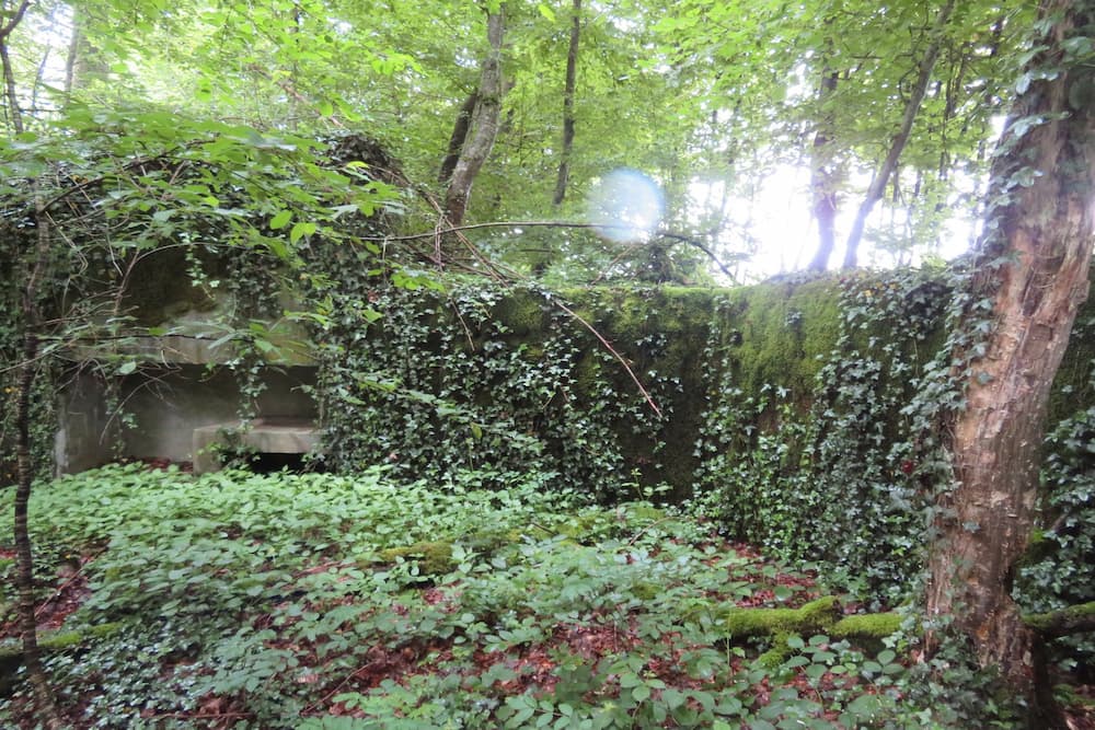 Maginot Line Eichwald Gun Emplacement
