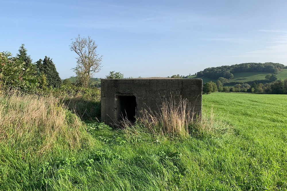 Bunker M - Advanced Position Hombourg