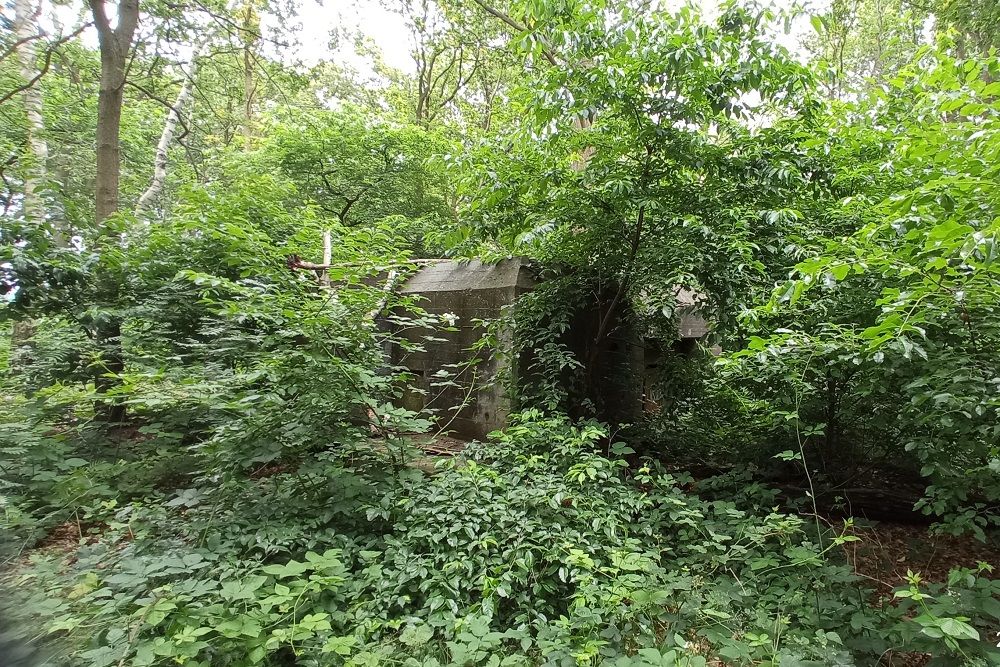 Casemate Peel Raamstelling S-K32