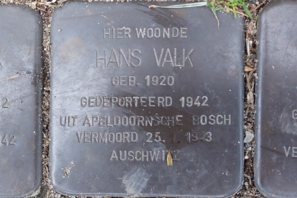 Stumbling Stones Burgemeester Meineszlaan 87b #3