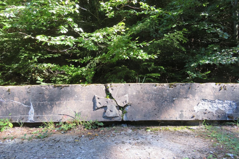 Drinking Trough Col du Donon #2