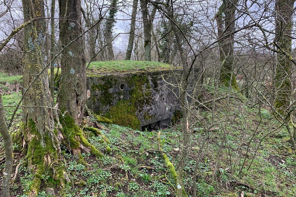 Bunker C - Position Avance Dolhain (Limbourg) #5