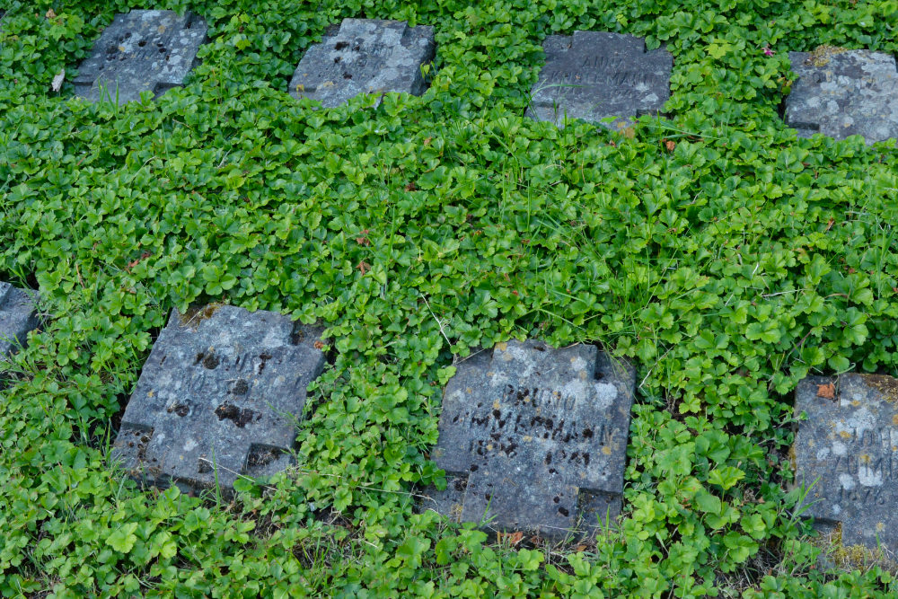 Graves Concentrationcamp Casualties  Parkfriedhof Essen #3