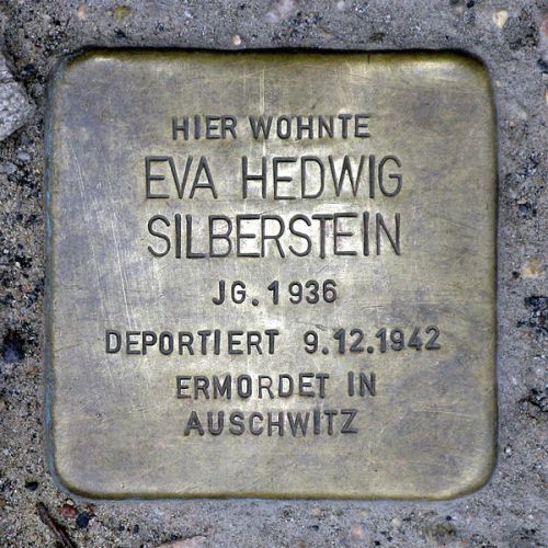 Stumbling Stones Schönholzer Straße 6 #1