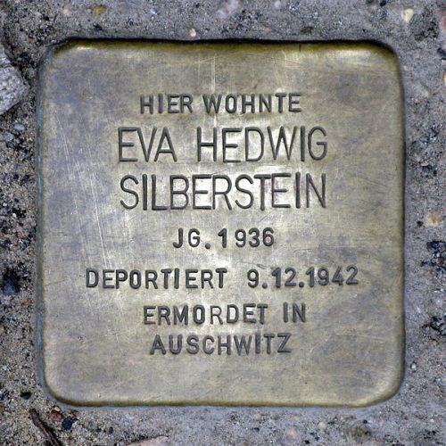 Stolpersteine Schnholzer Strae 6 #1