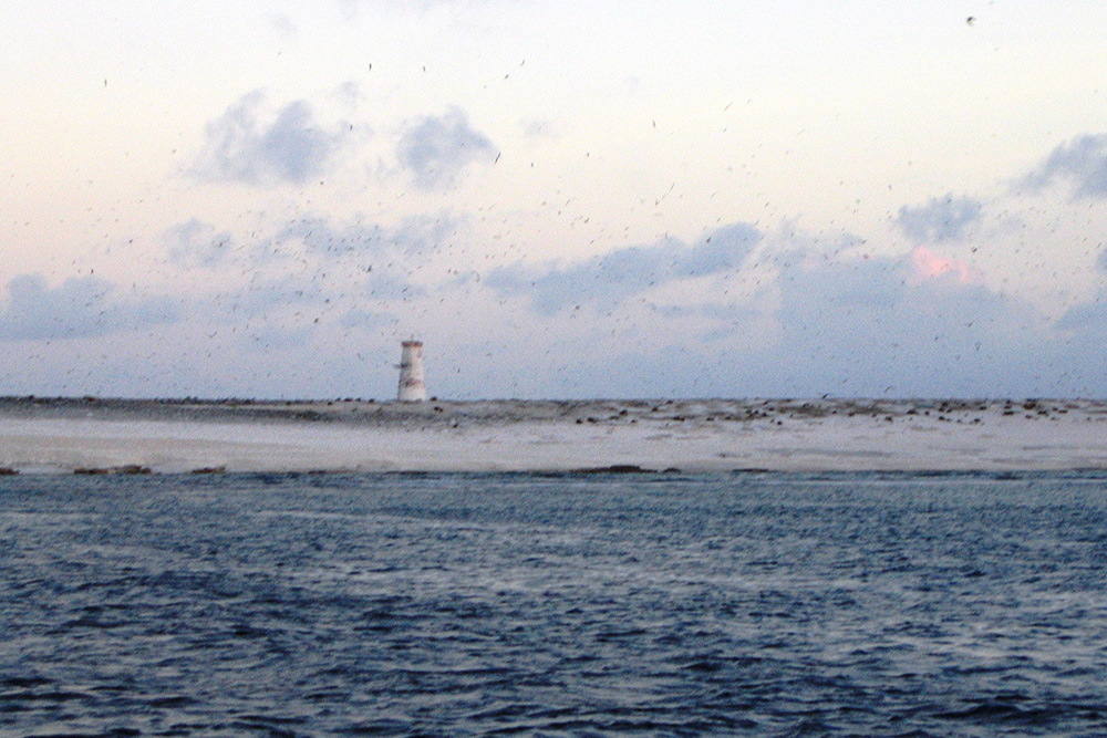 Jarvis Island