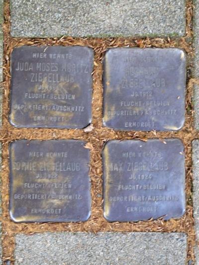 Stolpersteine Thieboldsgasse 102 #1