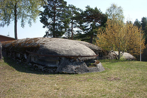 Skavlinie - Fort Vastra Arning