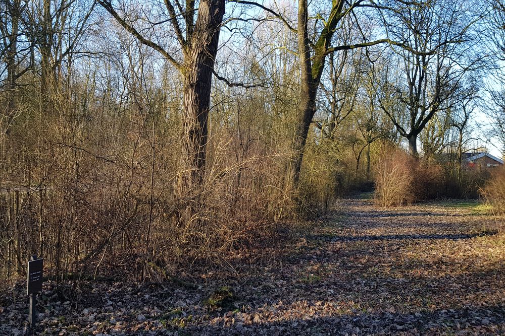 Second Emergency Cemetery Selwerderhof #4