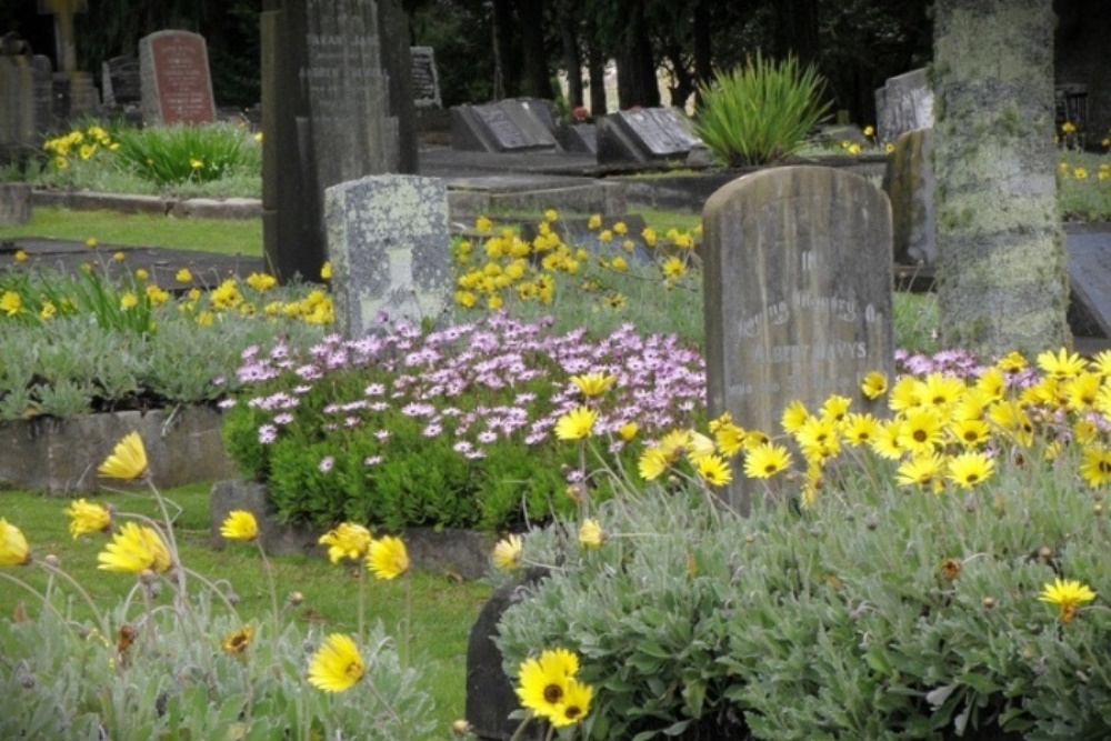 Oorlogsgraven van het Gemenebest Hamilton East Park Cemetery #1