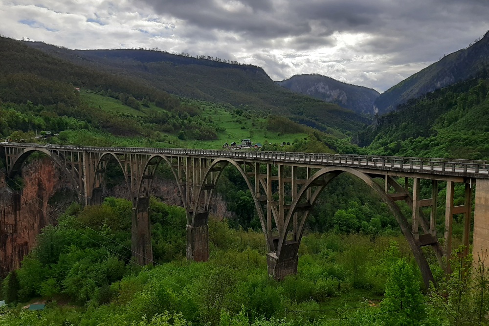 Monument Lazar Jauković Durđevića Tara-brug #3