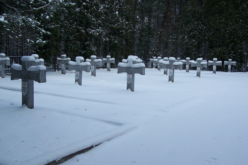 Polish War Cemetery Wiktorow #1
