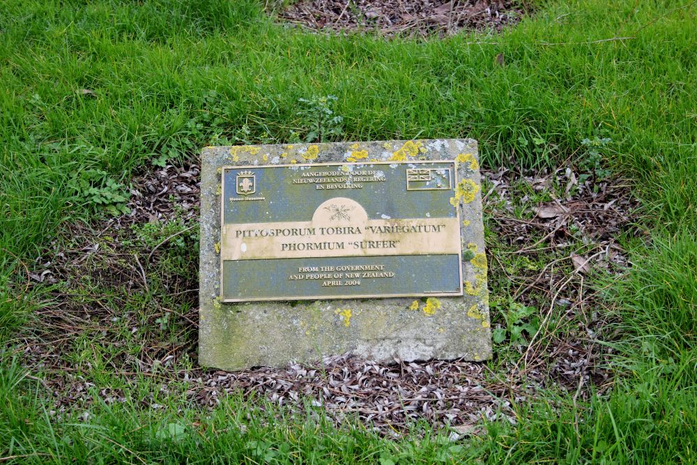 New Zealand Memorial Tree Mesen #2